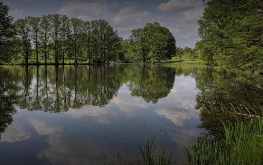 Shaw Nature Reserve, United States